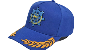 merchandise cap image